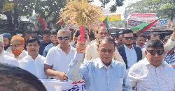 হোমনায় বিএনপির জাতীয় বিপ্লব ও সংহতি দিবস উদযাপন
