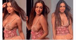অশালীন ভঙ্গিতে নাচ মালাইকার, বিপাকে হানি সিং