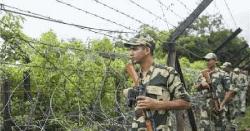 সীমান্ত অতিক্রম করে ৫টি গরু নিয়ে গেল বিএসএফ