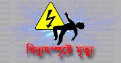 ইঁদুর নিধনের বৈদ্যুতিক ফাঁদে ২ ছাত্রের মৃত্যু