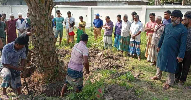 সংগৃহীত ছবি