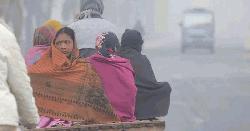 ঢাকায় বেড়েছে শীতের আমেজ, তেঁতুলিয়ায় সর্বনিম্ন 