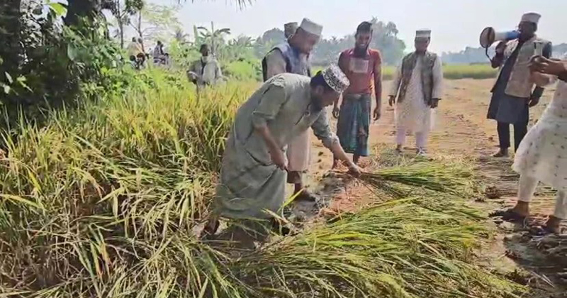 সংগৃহীত ছবি