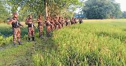 কুড়িগ্রামে সীমান্তে কঠোর নজরদারিতে বিজিবি, বিপুল পরিমাণ ভারতীয় পণ্য জব্দ