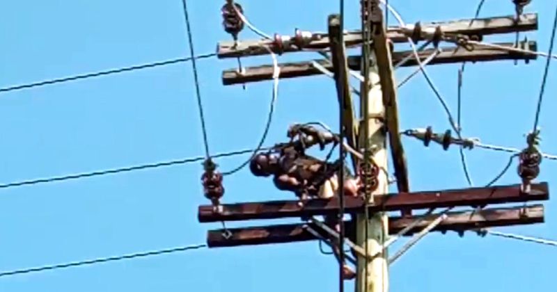বাগেরহাটে বিদ্যুতায়িত হয়ে বিদ্যুৎ শ্রমিকের মৃত্যু