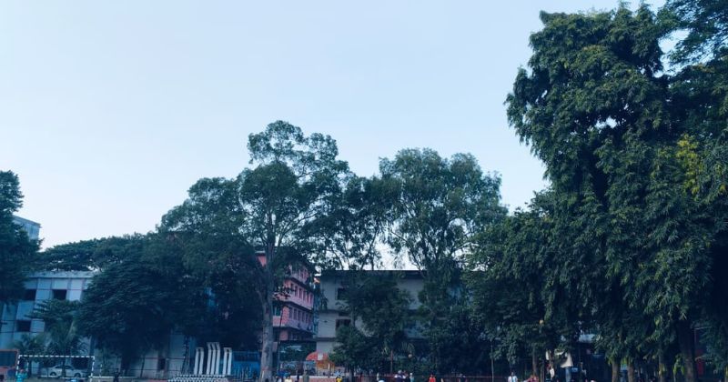 তিতুমীর কলেজে শীতের আগমনী বার্তা