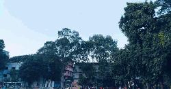 তিতুমীর কলেজে শীতের আগমনী বার্তা