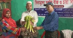 নলছিটিতে কৃষক-কৃষাণীদের মাঝ বিনামূল্যে সবজির বীজ ও চারা বিতরণ 