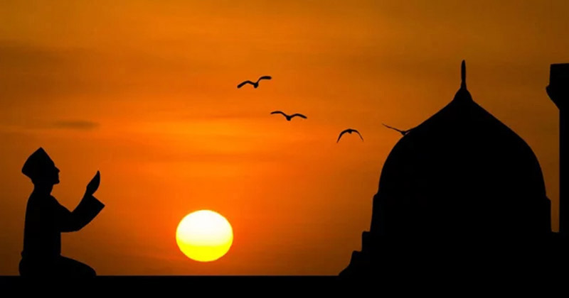 ফাইল ছবি