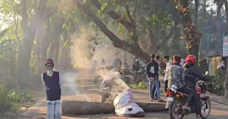 সংগৃহীত ছবি