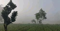 তেঁতুলিয়ায় পাঁচদিন ধরে ১৪ ডিগ্রির ঘরে তাপমাত্রা রেকর্ড