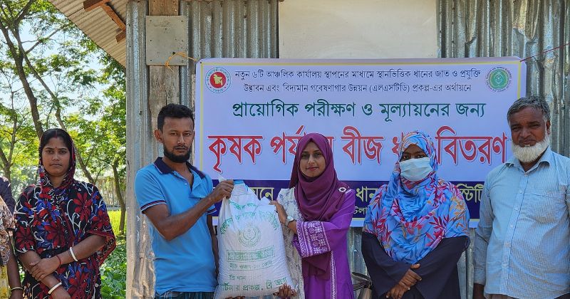 পটুয়াখালীতে ‘বাংলাদেশ ধান গবেষণা ইনস্টিটিউট’-এর বীজধান বিতরণ