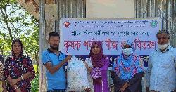 পটুয়াখালীতে ‘বাংলাদেশ ধান গবেষণা ইনস্টিটিউট’-এর বীজধান বিতরণ