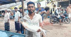 আড়াই কেজির ইলিশ ১৬ হাজারে বিক্রি