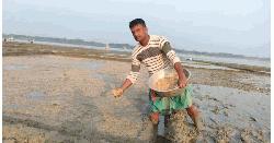 দামুড়হুদায় ইরি-বোরো ধানের বীচতলায় ব্যস্ত চাষিরা 