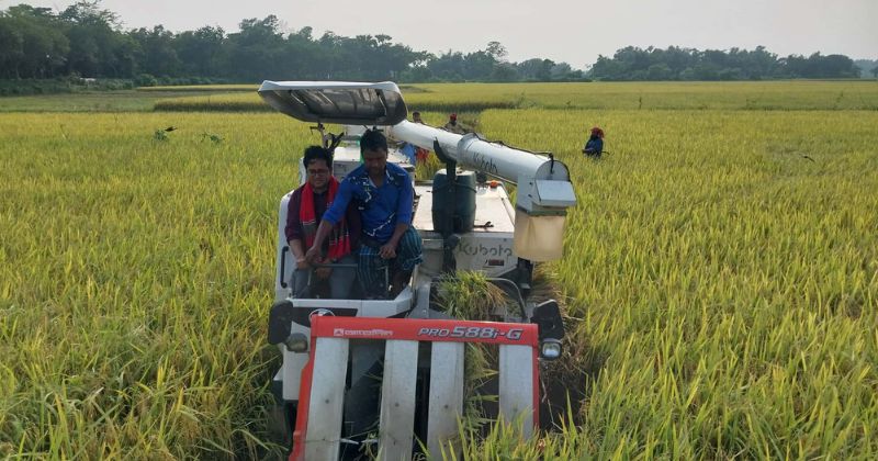 আখাউড়ায় মেশিনে ধান কাটায় লাভবান কৃষক