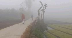 তেঁতুলিয়ায় তাপমাত্রা নামল ১২ ডিগ্রিতে