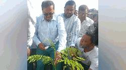 ৭০ কিলোমিটারজুড়ে বৃক্ষরোপণ কর্মসূচি উদ্বোধন করলেন স্পিকার
