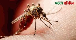 ডেঙ্গুতে একদিনে আরও ১০ জনের মৃত্যু, হাসপাতালে ১ হাজার ৯৪৩