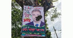 পাইকগাছায় ইউপি সদস্য প্রার্থীর প্রচারপ্যানায় গোবর নিক্ষেপ